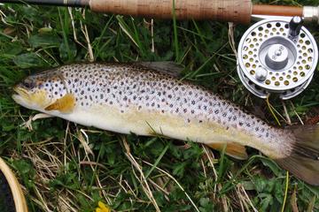 Brown Trout Fly Fishing Day Tour in Lough Corrib County Galway
