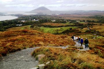 Connemara National Park Nature Trails Self-Guided Day Tour including Lunch