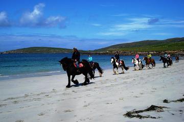 Day Tour: Connemara Wild Atlantic Way Guided Beach Horseback Ride from Galway