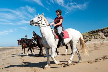 Day Tour: Connemara Wild Atlantic Way Guided Beach Horseback Ride from Galway