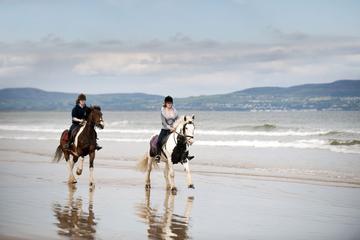 Day Tour: Connemara Wild Atlantic Way Guided Beach Horseback Ride from Galway