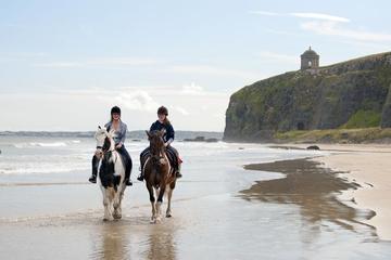 Day Tour: Connemara Wild Atlantic Way Guided Beach Horseback Ride from Galway