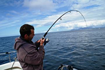 Deep Sea Angling in Connemara Full-Day Guided Fishing Tour from Clifden