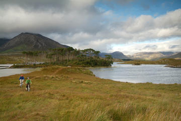 Electric Biking Tour on the Wild Atlantic Way - 1-Day Self Guided