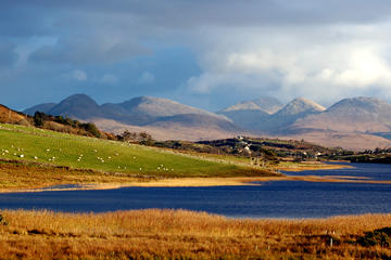 Full-day Connemara and Wild Atlantic Way from Galway