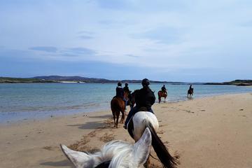 Full-day Wild Atlantic Way Horseback Riding Excursion from Galway