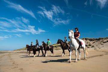 Full-day Wild Atlantic Way Horseback Riding Excursion from Galway
