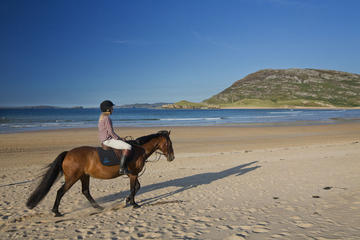 Guided Beach Horse Riding Excursion: Wild Atlantic Way Connemara