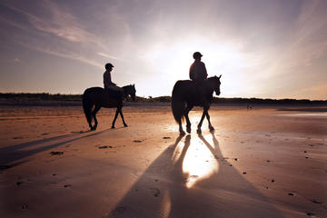 Guided Beach Horse Riding Excursion: Wild Atlantic Way Connemara