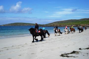 Guided Beach Horse Riding Excursion: Wild Atlantic Way Connemara