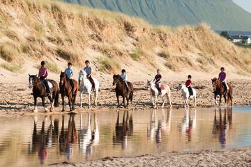Guided Beach Horse Riding Excursion: Wild Atlantic Way Connemara