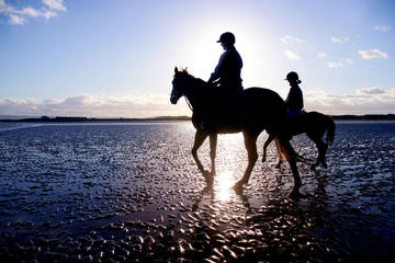 Guided Beach Horse Riding Excursion: Wild Atlantic Way Connemara