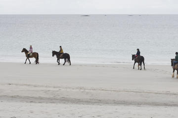 Half-Day Tour: Connemara Wild Atlantic Way Guided Beach Horseback Ride from Galway