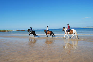 Half-Day Tour: Connemara Wild Atlantic Way Guided Beach Horseback Ride from Galway