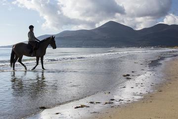 Half-Day Tour: Connemara Wild Atlantic Way Guided Beach Horseback Ride from Galway