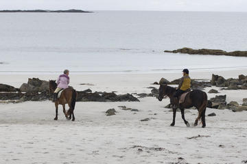 Half-Day Tour: Connemara Wild Atlantic Way Guided Beach Horseback Ride from Galway