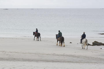 Half-Day Tour: Connemara Wild Atlantic Way Guided Beach Horseback Ride from Galway