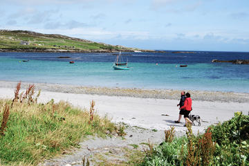 Magical Inishbofin Island on the Connemara Coast from Galway including Lunch