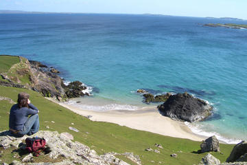 Magical Inishbofin Island on the Connemara Coast from Galway including Lunch
