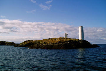 Magical Inishbofin Island on the Connemara Coast from Galway including Lunch