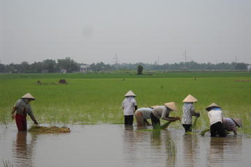 Mekong Delta 3-Day Small Group Tour Including Biking and Floating Markets