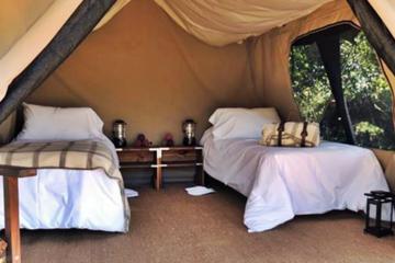 2-Days Glamping in the Pampas