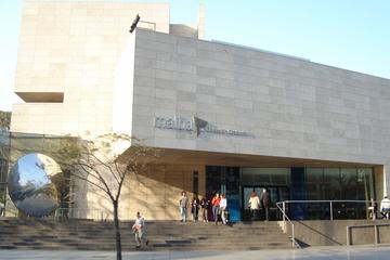 Private Art and Museums Tour in Buenos Aires