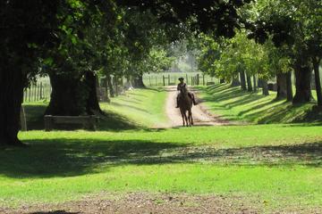Private Day Tour to an Argentinian Estancia