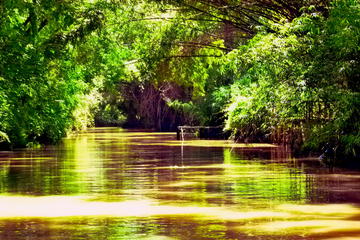 Private Day Trip to Tigre Delta from Buenos Aires