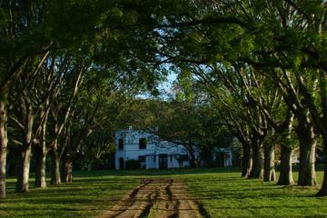 Private tour day at the Estancia La Porteña