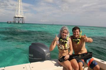 Day Trip Eco-Adventure and Snorkel Cruise near Islamorada, Florida 