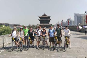 Xi'an Classic Day Tour