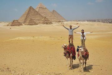 Half-Day Tour of the Giza Pyramids and Sphinx with Private Guide from Cairo