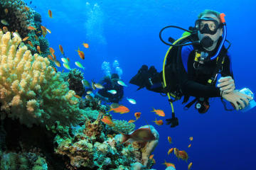 6 Dive Package at Ras Mohamed and Tiran Strait