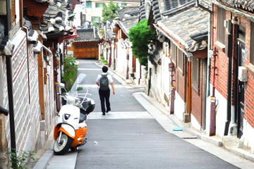 Seoul-Gyeonggi Small Group Customizable Full-Day Private Tour