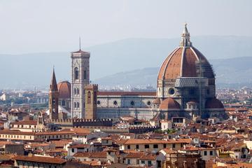 Small-Group Private Tour to Pisa and Florence from Rome