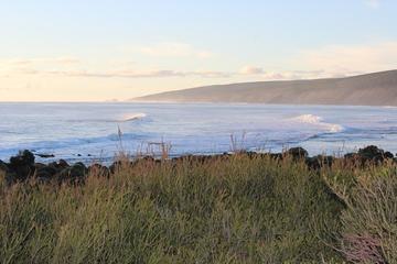 Margaret River Indulge and Discover Day Tour