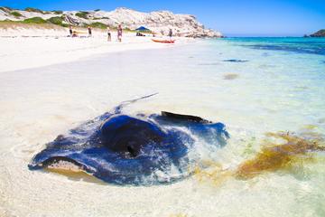Private Custom Margaret River Tour