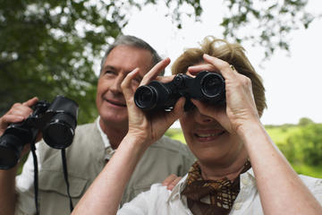 Full-Day Bird Watching Tour