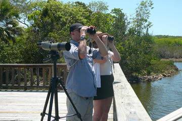 Half-Day Bird Watching Tour