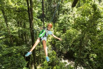 Best of Roatan Zip Line adventure plus Island tour
