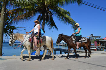 Roatan Combo Tour: Jungle Horseback Riding and Beach Break