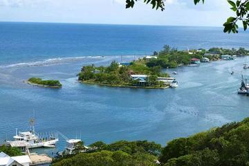 Roatan Private Tour: Shopping, Sightseeing and Beach Tour