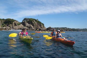 Kayak tour framed for the day