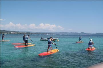 Stand Up Paddle Board Rental in La Ciotat