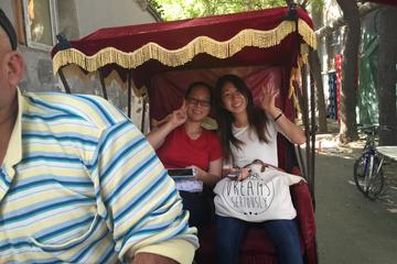 All Inclusive Private Tour of Beijing Zoo, Beijing Aquarium and Hutong