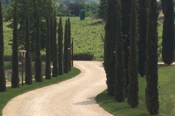 Venice Countryside Tour with Visit to Valpolicella, Wine Tasting and Lunch