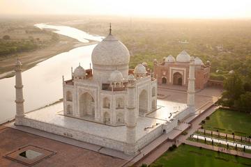 Taj Tigers and Majestic Forts Multi-Day Tour from Delhi
