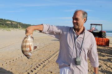 Full-Day Tour from Lisbon with Traditional Fisherman's Lunch in Setúbal