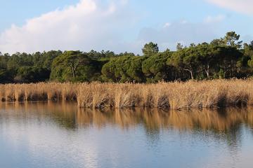 Historical and Natural Sesimbra: Private Tour from Lisbon